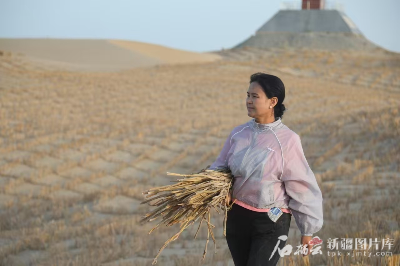 mmexport1746427531173